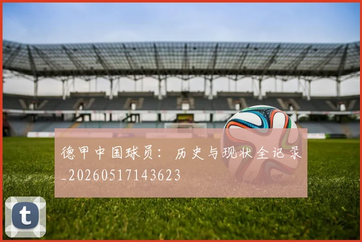 德甲中国球员:历史与现状全记录_20260517143623
