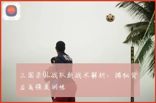 三国杀OL战队新战术解析,揭秘背后高强度训练