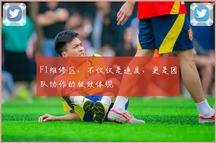F1维修区,不仅仅是速度,更是团队协作的极致体现